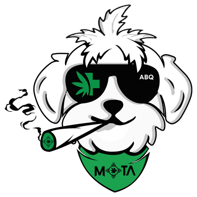 mota guru icon